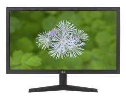 Monitor LG 23.6