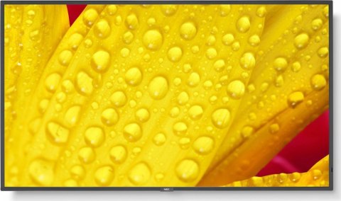 Monitor NEC 50" 60005053